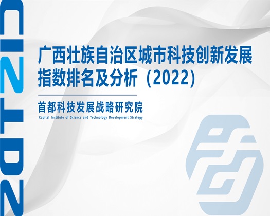 艹屄视频网站【成果发布】广西壮族自治区城市科技创新发展指数排名及分析（2022）